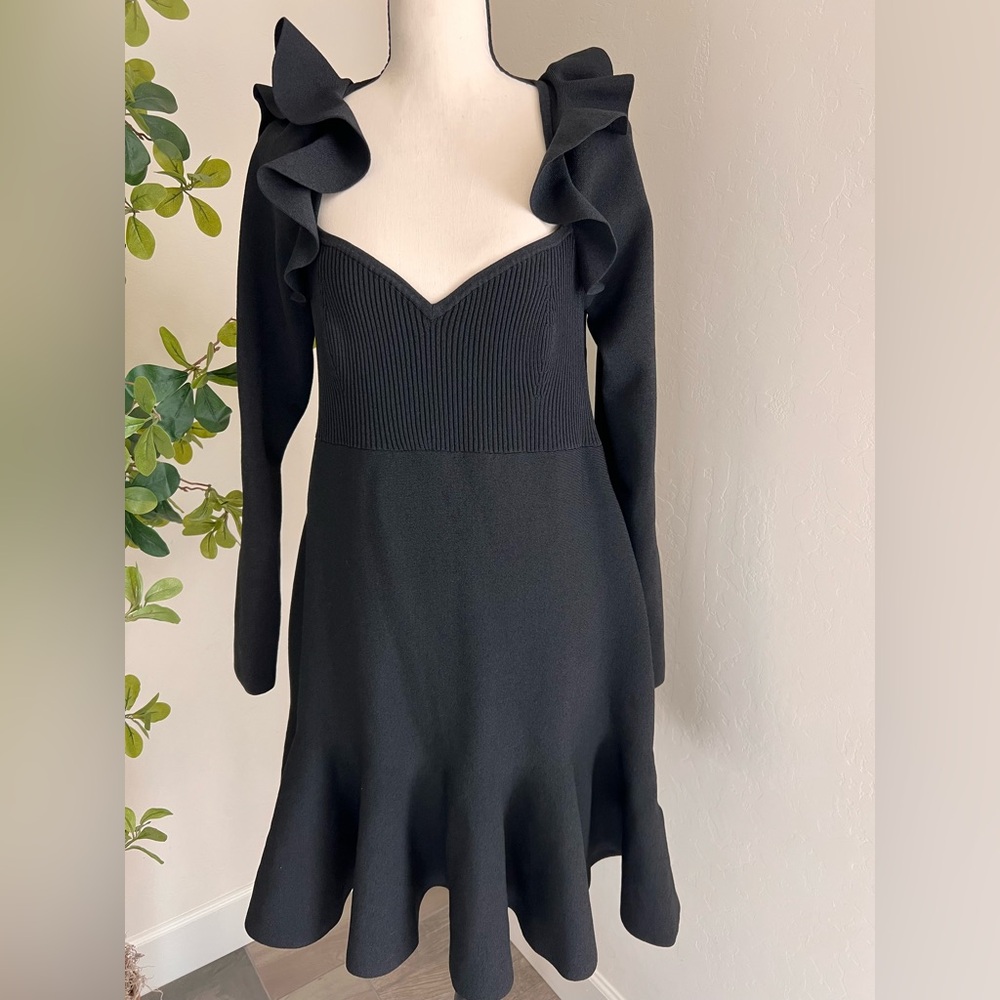 Express Elegant Black Ruffle Long Sleeve Dress